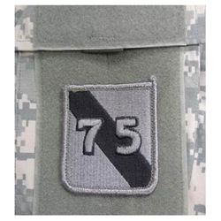 Nášivka 75th INFANTRY DIVISION VELCRO - FOLIAGE