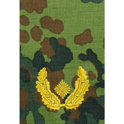 Nárameník BW BRIGADEGENERAL FLECKTARN/zlaté vyšití